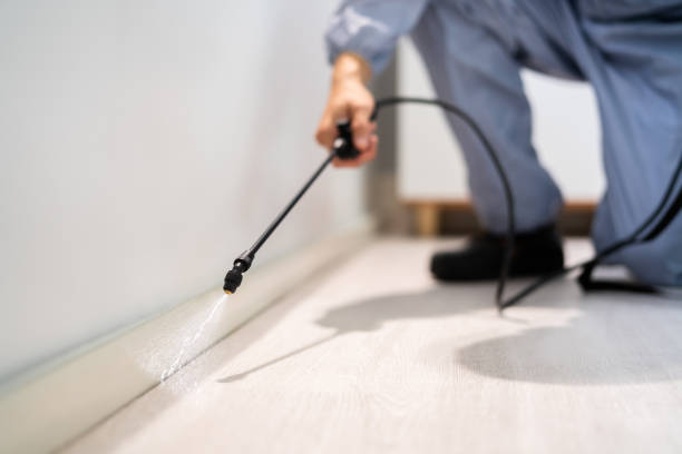 Licensed Termite Control service in Savanna, IL - Show Me Pest Control
